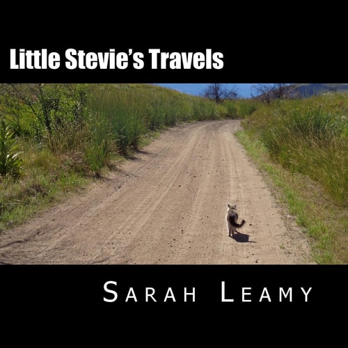 Little Stevie's Travels The Camping Cat