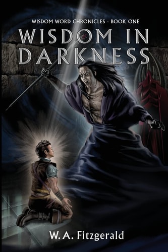 Wisdom In Darkness The Journey of a Reluctant Hero
