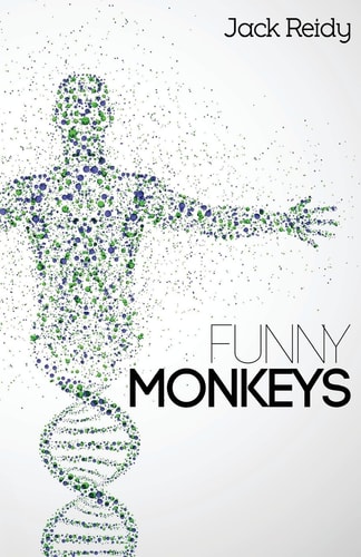 Funny Monkeys
