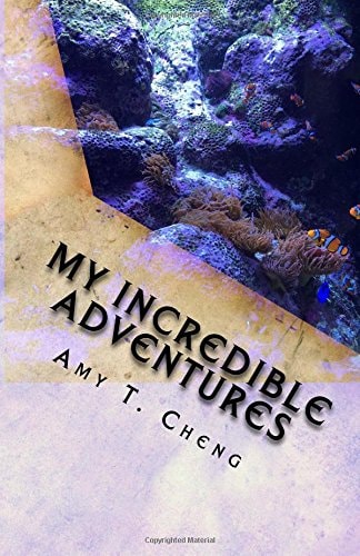 My Incredible Adventures