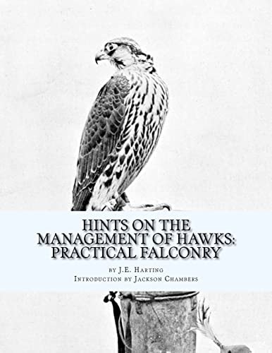 Hints on the Management of Hawks Practical Falconry