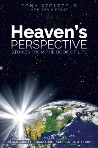 Heaven's Perspective Stories from the Book of Life: How a Good God Transforms Suffering Into Glory