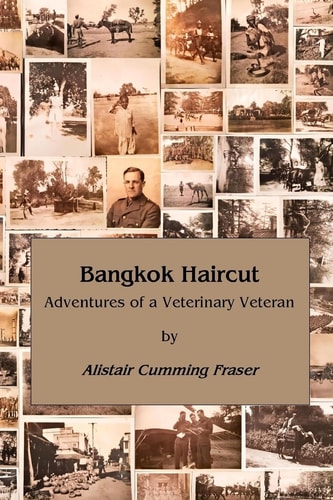 Bangkok Haircut Adventures of a Veterinary Veteran