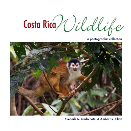 Costa Rica Wildlife A Photographic Collection