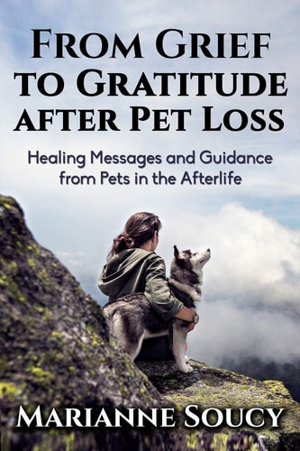 From Grief to Gratitude After Pet Loss Healing Messages and Guidance from Pets in the Afterlife