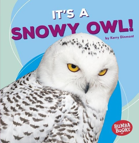 Its a Snowy Owl!