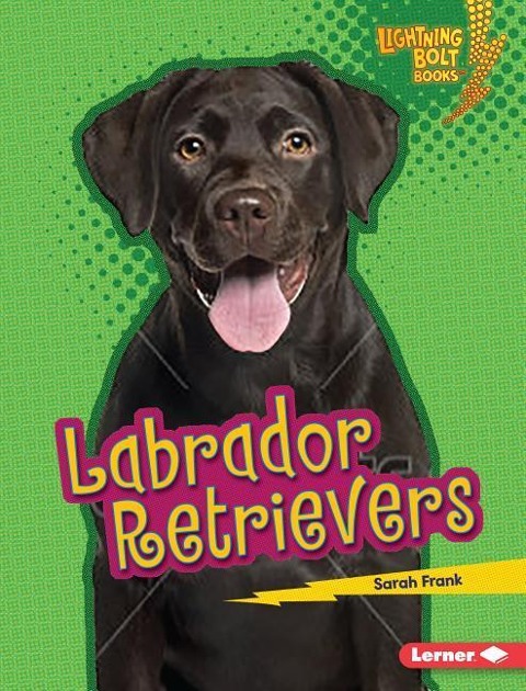 Labrador Retrievers