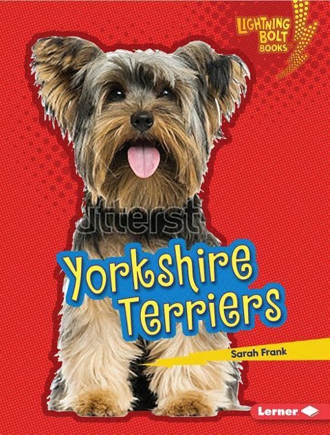 Yorkshire Terriers