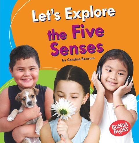 Lets Explore the Five Senses