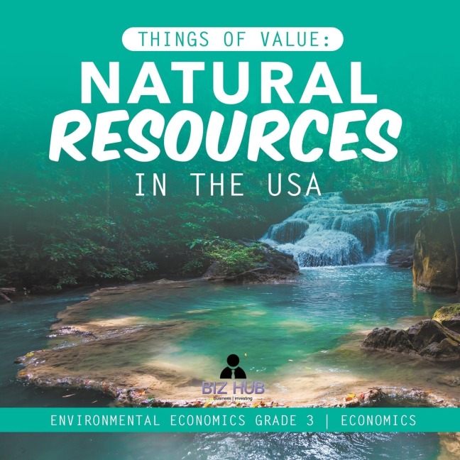 Things of Value: Natural Resources in the USA | Environmental Economics Grade 3 | Economics