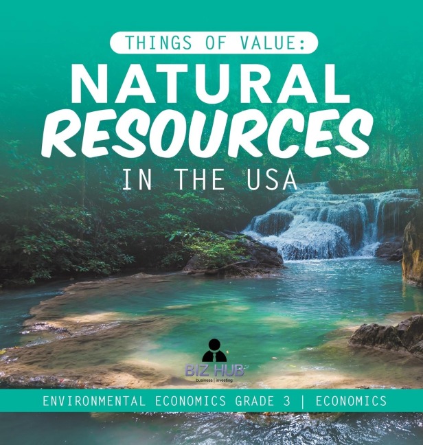 Things of Value: Natural Resources in the USA | Environmental Economics Grade 3 | Economics