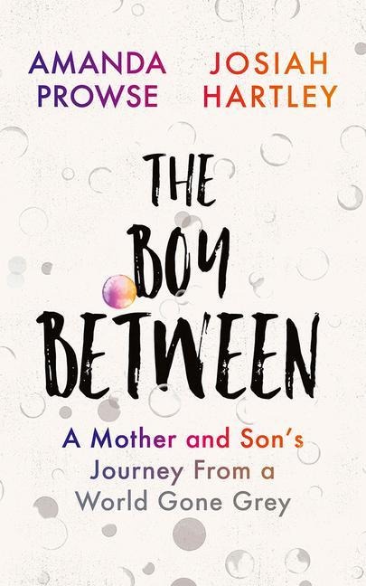 The Boy Between: A Mother and Sons Journey from a World Gone Grey