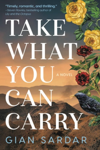 Take What You Can Carry A Novel
