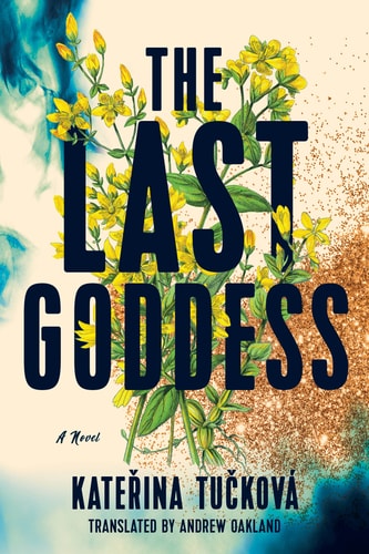 The Last Goddess A Novel