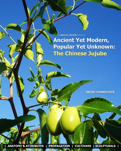 Ancient Yet Modern, Popular Yet Unknown The Chinese Jujube: An In-Depth Guide to Growing and Propagating Chinese Jujubes