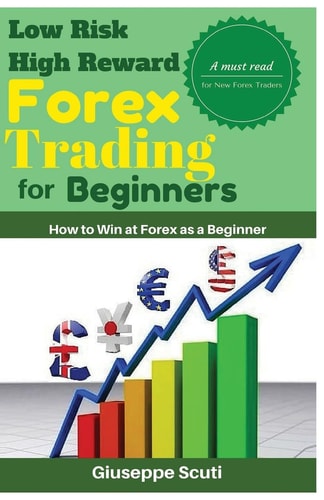 Low Risk High Reward Forex Trading for Beginners How to Win at Forex As a Beginner