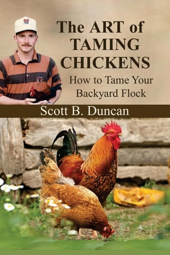 The Art of Taming Chickens How To Tame Your Backyard Flock