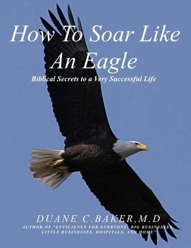 How To Soar Like An Eagle Biblical Secrets To A Very Successful Life