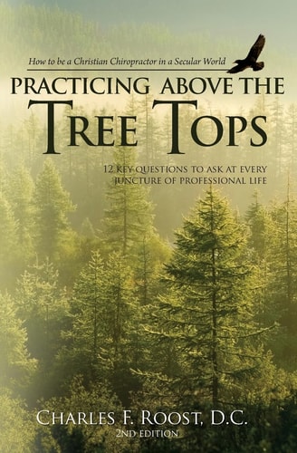Practicing Above the Tree Tops 12 Key Questions to Ask at Ever Juncture of Professional Life