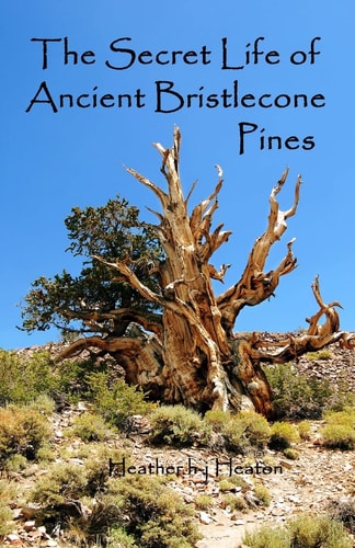 The Secret Life of Ancient Bristlecone Pines Book One of the Secret Life Series
