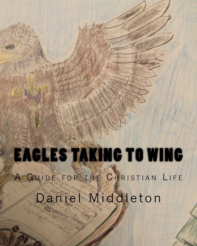 Eagles Taking to WIng (a Book to Focus the Christian Walk Or to Begin It)