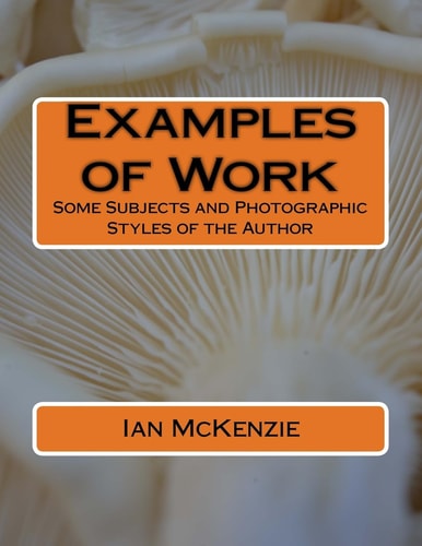 Examples of Work Some Subjects and Photographic Styles of the Author