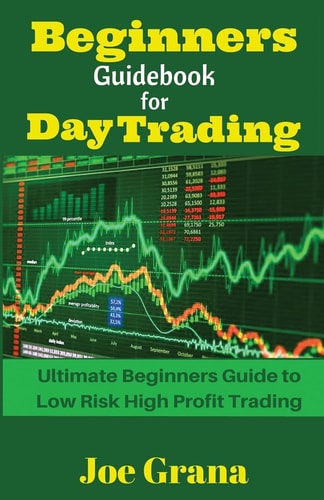 Beginners Guidebook for Day Trading Ultimate Beginners Guide to Low Risk High Profit Trading