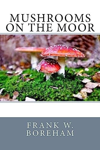 Mushrooms on the Moor