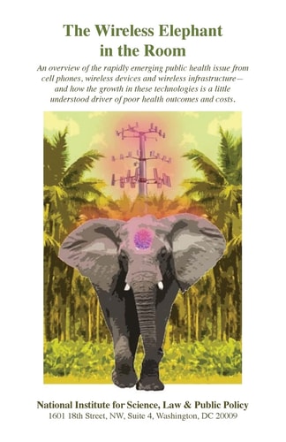The Wireless Elephant in the Room An Overview of the Rapidly Emerging Public Health Issue from Cell Phones, Wireless Devices and Wireless Infrastructure-And How the Growth in These Technologies Is a Little Understood Driver of Poor Health Outcomes and Cos