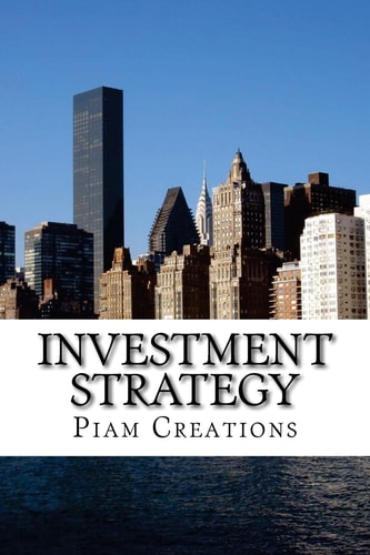 Investment Strategy 2017-2020