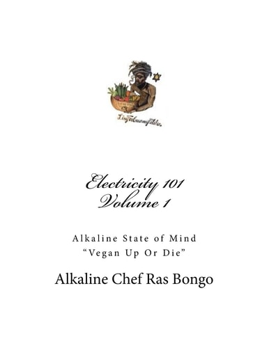 Electricity 101 Alkaline State of Mind