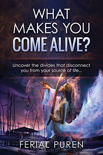 What Makes You Come Alive? Uncover The Divides That Disconnect You From Your Source Of Life...