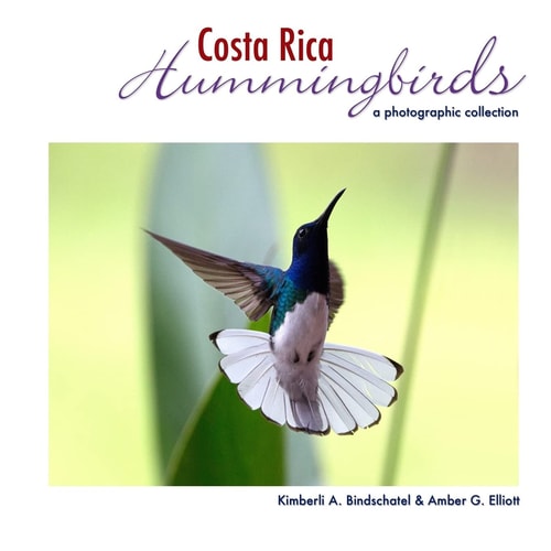 Costa Rica Hummingbirds A Photographic Collection