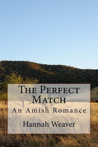 The Perfect Match An Amish Romance