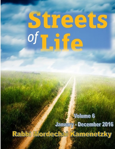Streets of Life Collection Vol. 6 - 2016 Reflections on Life's Amazing Journeys and the Paths That Lead There