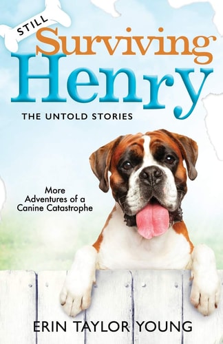 Still Surviving Henry The Untold Stories