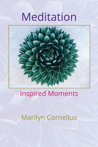 Meditation Inspired Moments