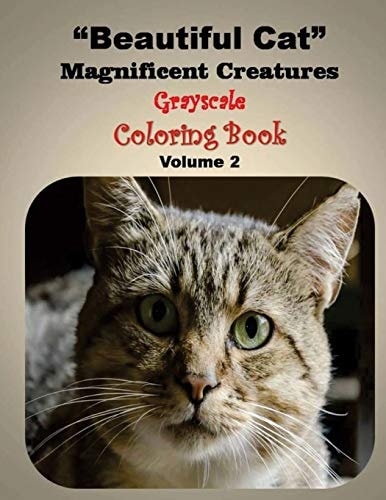 Beautiful Cat Magnificent Creature Geay Scale Coloring Book