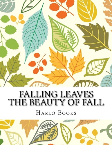 Falling Leaves The Beauty of a Leaf