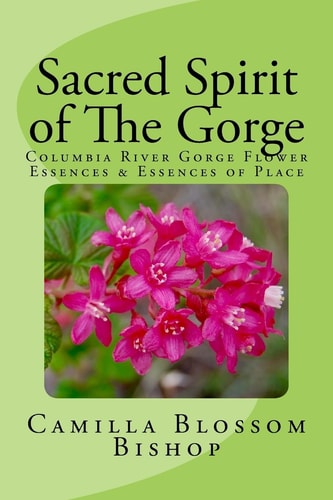 Sacred Spirit of the Gorge Columbia River Gorge Flower Essences and Essences of Place