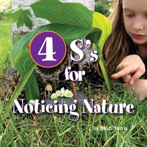 4S's for Noticing Nature Senses, Sun, Seasons, Systems