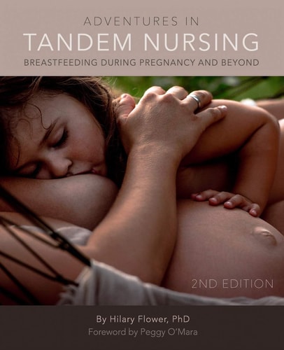 Adventures in Tandem Nursing Breastfeeding During Pregnancy and Beyond