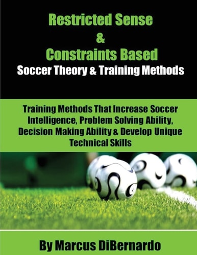 Restricted Sense and Constraints Based Theory and Training Methods