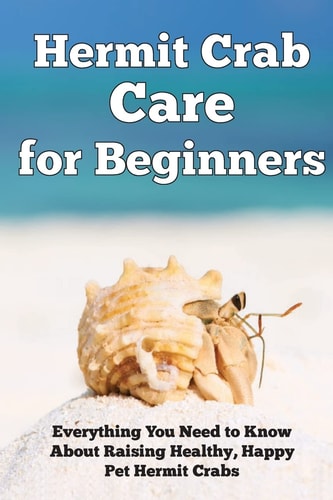 Hermit Crab Care for Beginners Everything You Need to Know about Raising Healthy, Happy Pet Hermit Crabs