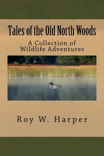 Tales of the Old North Woods A Collection of Wildlife Adventures