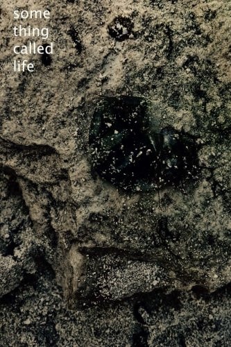 Something Called Life