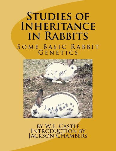 Studies of Inheritance in Rabbits Some Basic Rabbit Genetics