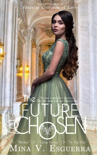 The Future Chosen A Political Romance