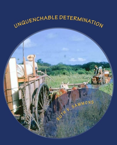 Unquenchable Determination The Joys and Challenges of Mission Work