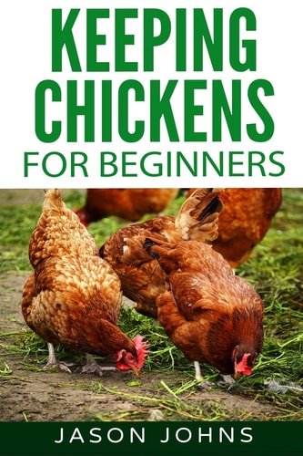 Keeping Chickens for Beginners Keeping Backyard Chickens from Coops to Feeding to Care and More